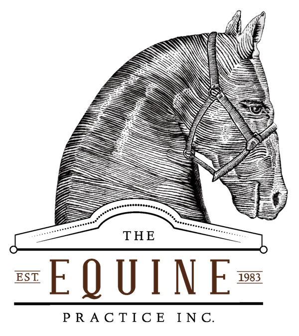 The Equine Practice, Inc