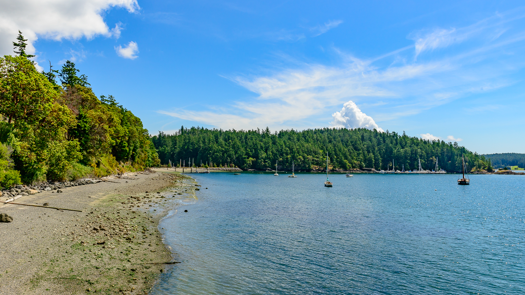 island thyme orcas island