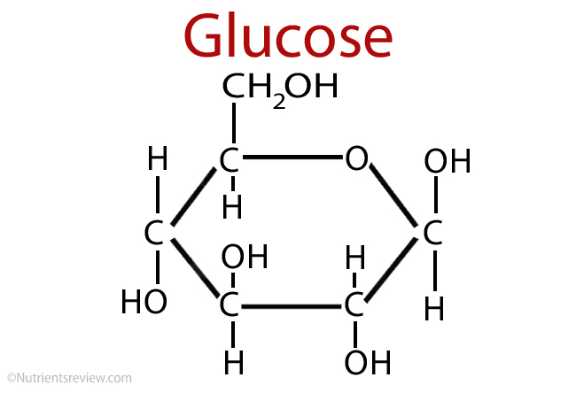 glucose-formula-the-equine-practice-inc