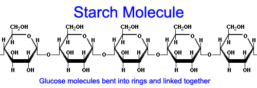 What The Molecular Formula Of Starch