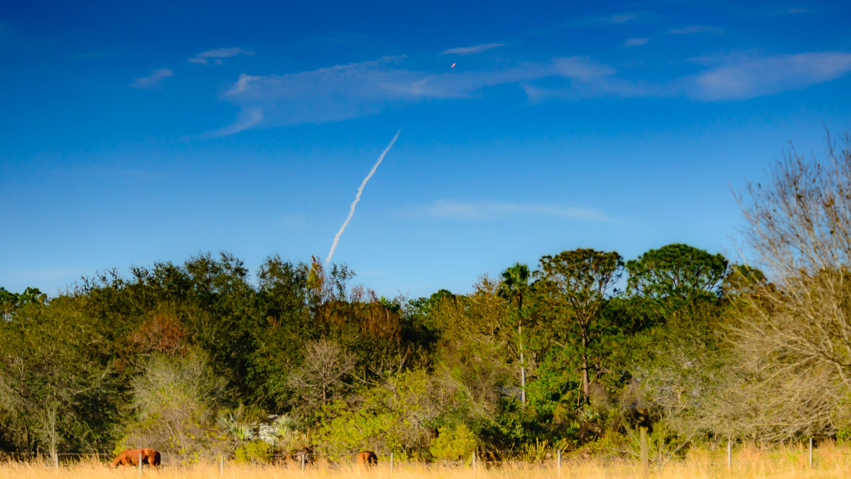 Rocket launches1802068004904 The Equine Practice, Inc